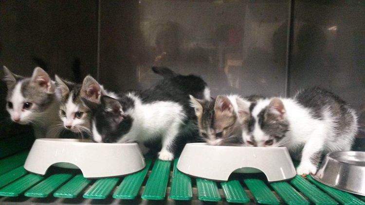 FB_IMG_1481382419994