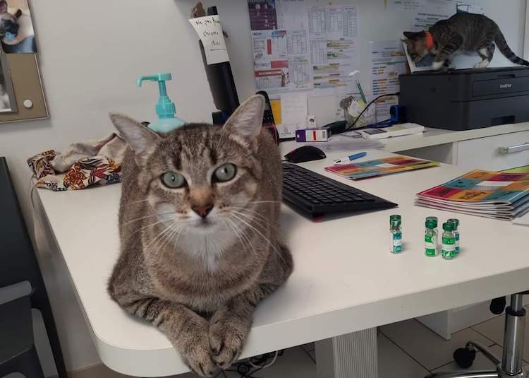 FB_IMG_1664837513068