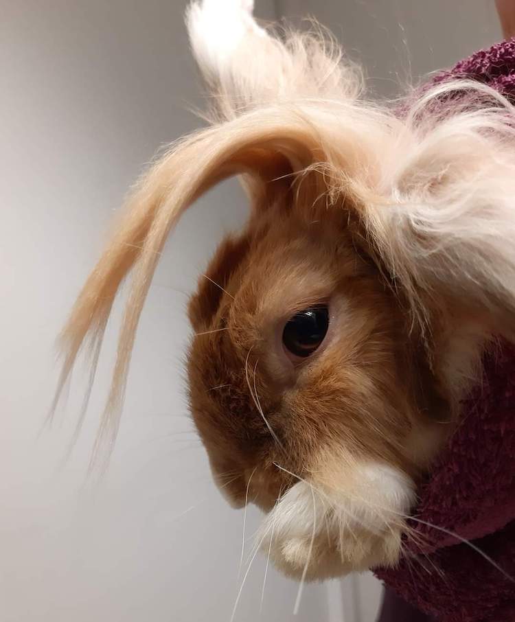 FB_IMG_1664837520591