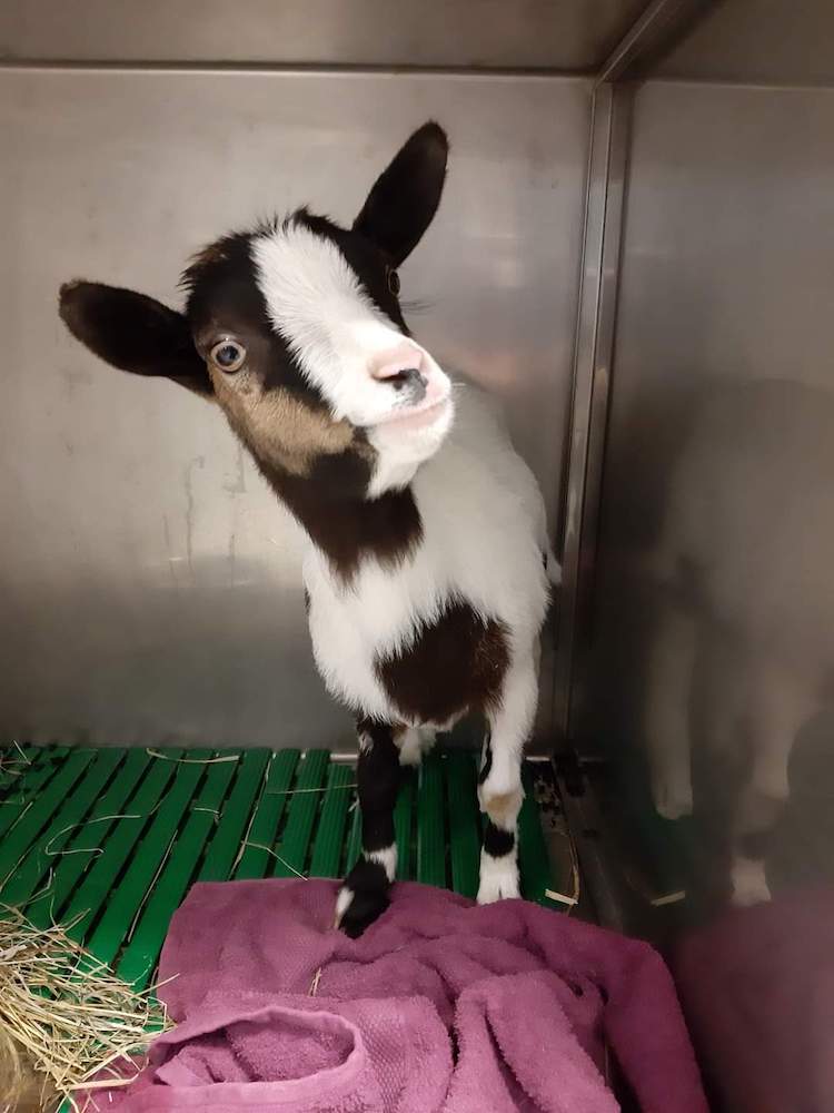 FB_IMG_1664837600092