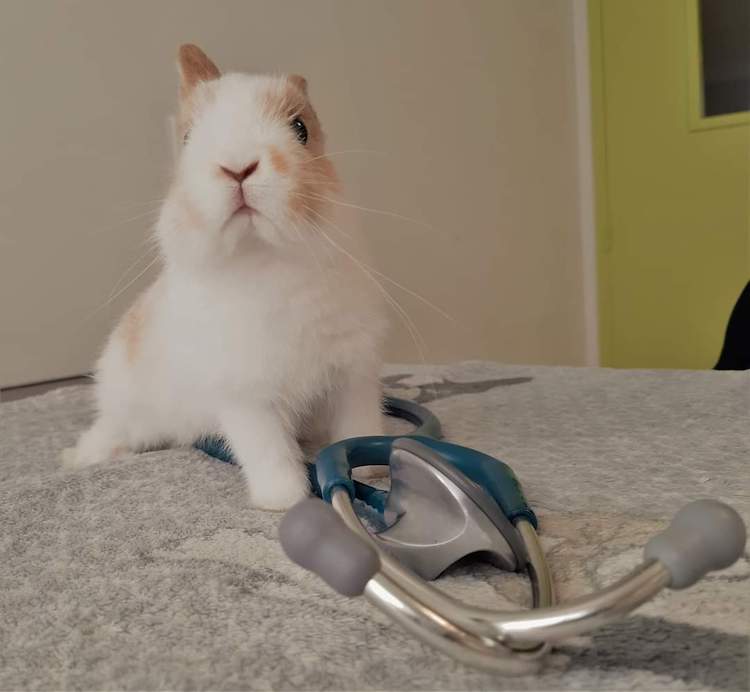 FB_IMG_1664837669324