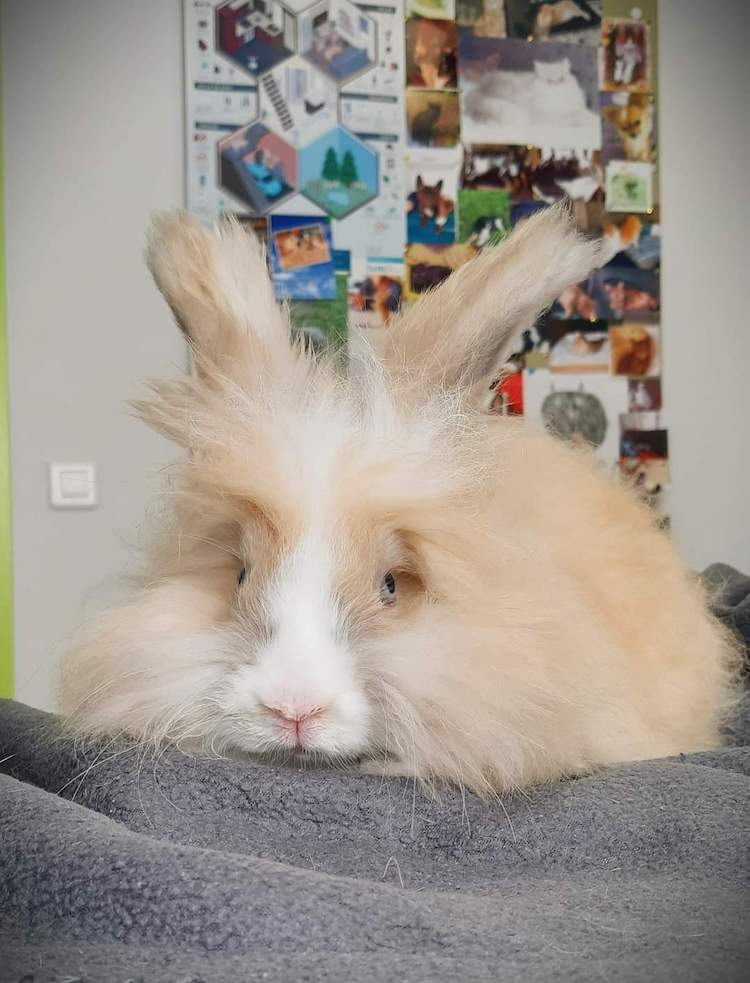 FB_IMG_1665345945042