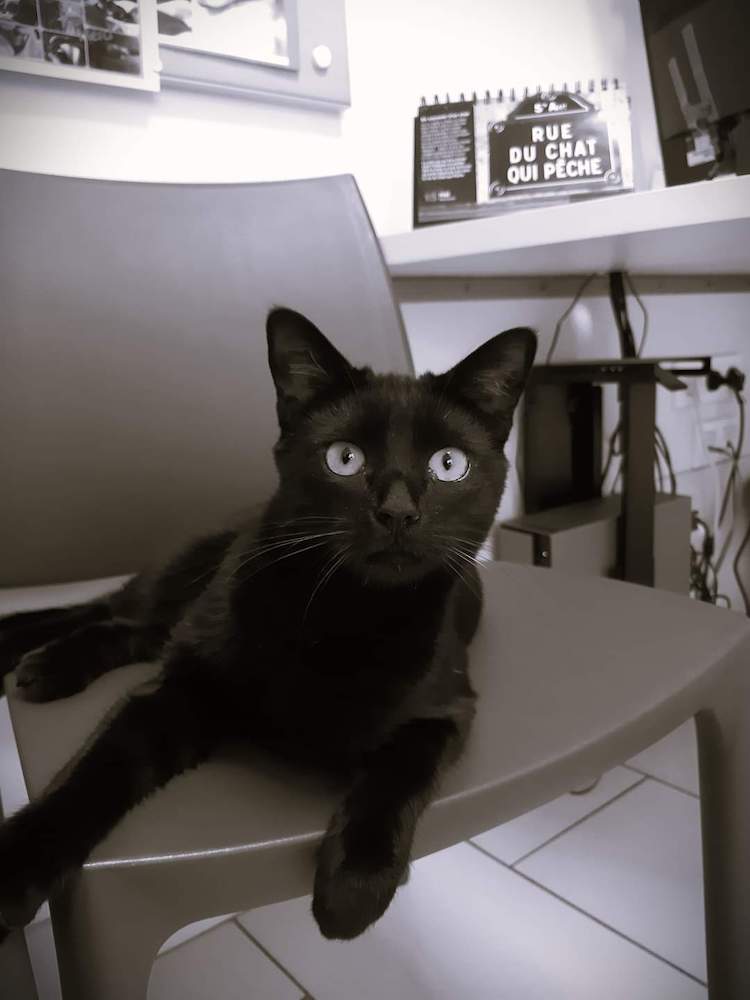 FB_IMG_1665346356117