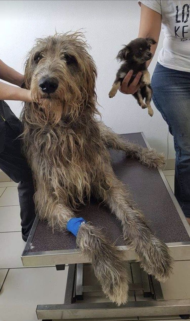 Screenshot_20221004_010148