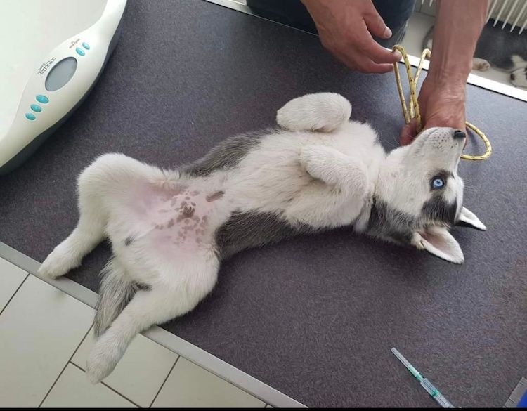 Screenshot_20221009-222148_Facebook