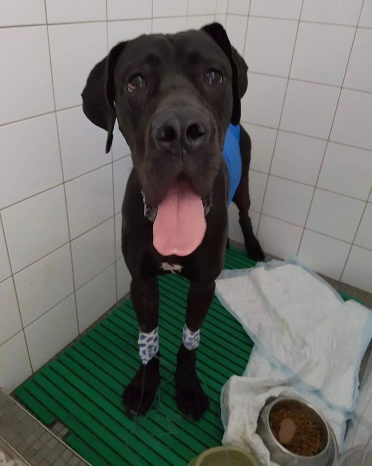 Screenshot_20221009-222217_Facebook