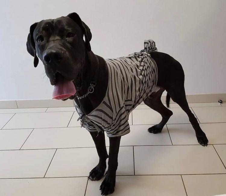 Screenshot_20221009-222314_Facebook