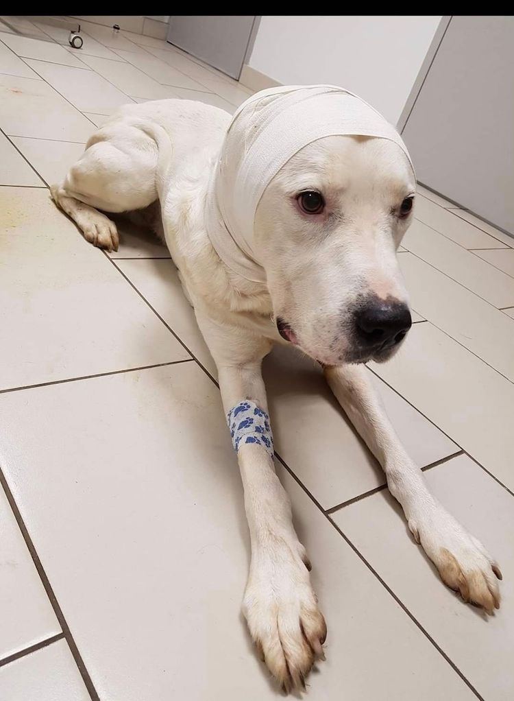 Screenshot_20221009-222348_Facebook