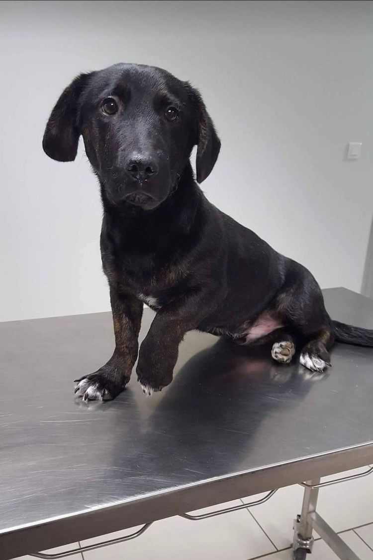 Screenshot_20221009-222359_Facebook