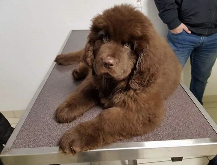 Screenshot_20221009_220853