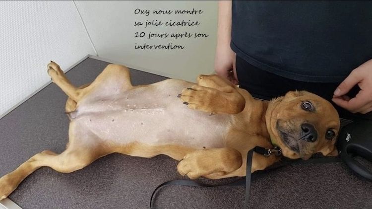 Screenshot_20221009_221223