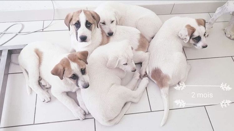 Screenshot_20221009_221717