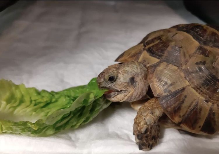 Screenshot_20230108_122339_Facebook