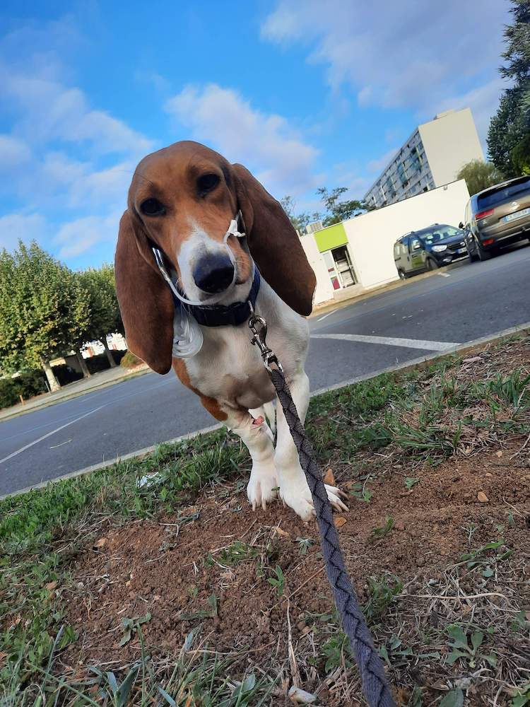 b44b05837fd02fd1d4e75014eef59b1b.0