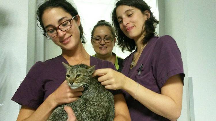 14914929_10211118350180401_394793478_n