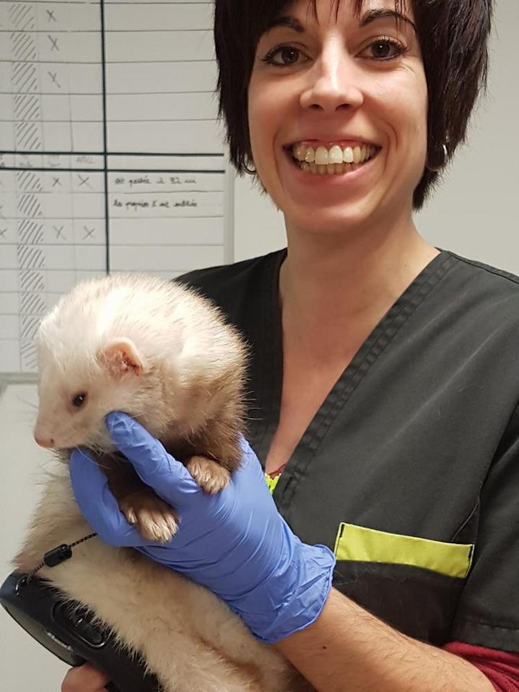 15909894_10211770837812184_2002116682_n