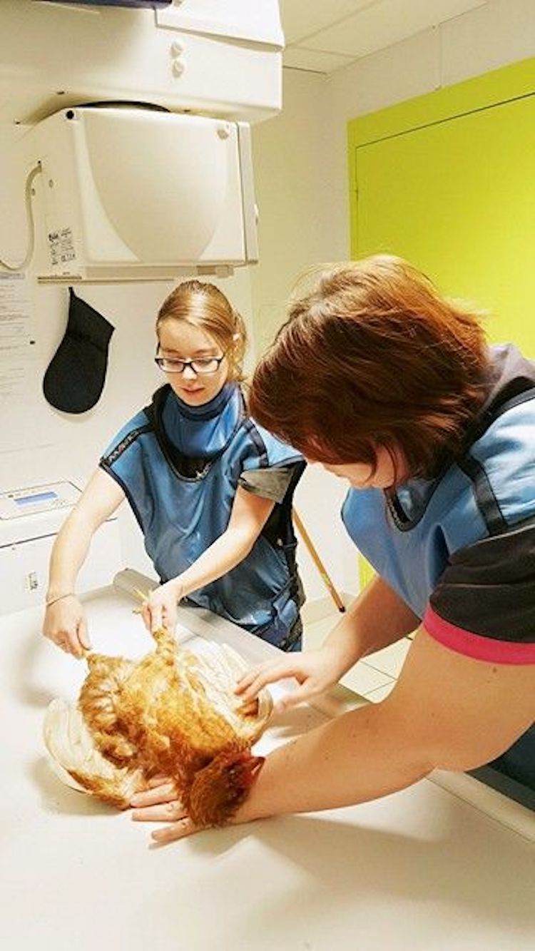 24252025_10214960391389030_265825858_n