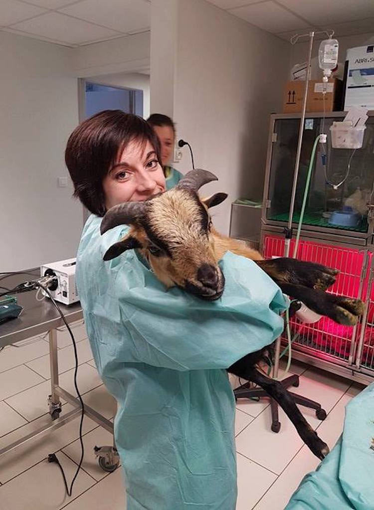 32686186_1944829295527451_3930512932655333376_n