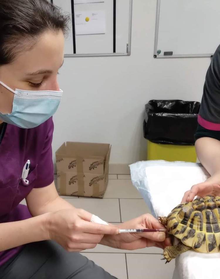 FB_IMG_1664837586981