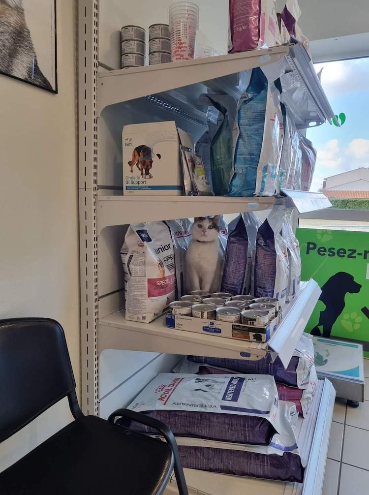 FB_IMG_1665317457762