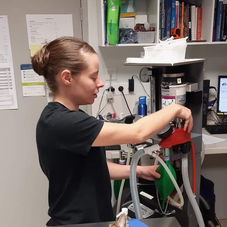 FB_IMG_1673176430230