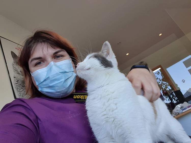 abd094c0f3784d674d6d79d38036f7d8.0